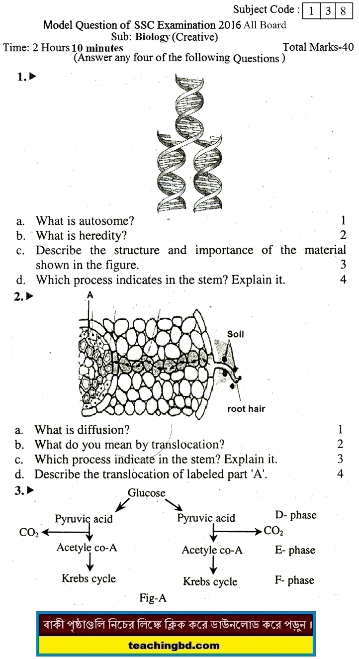 EV Biology Suggestion and Question Patterns of SSC Examination 2016-8